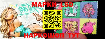 гидропоника Ставрополь