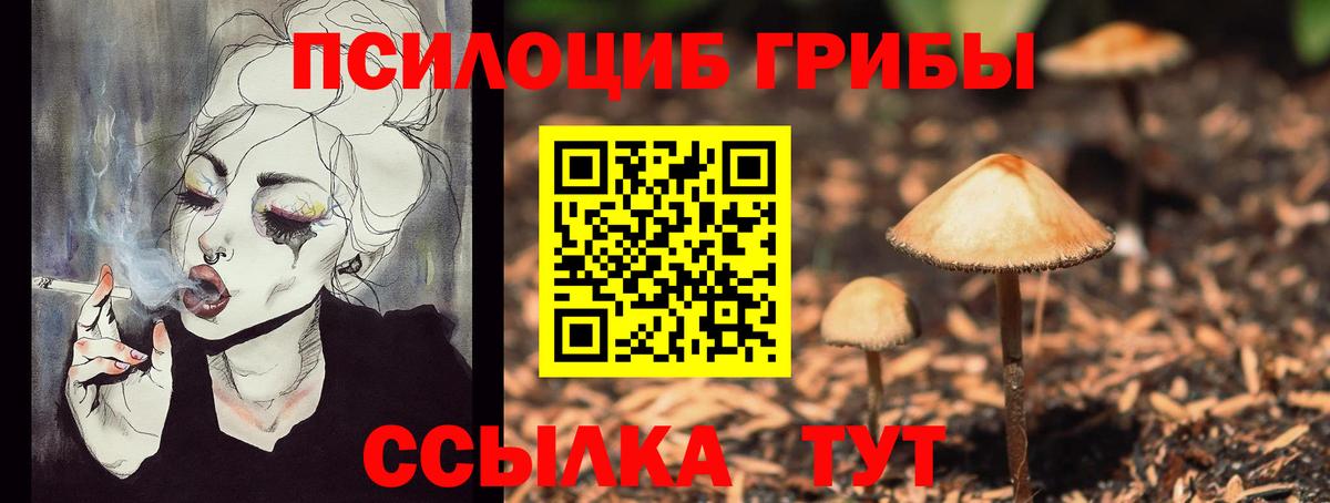 Россошь  купить   Псилоцибиновые грибы Cubensis  Вход с VPN  Галлюциногенные грибы мицелий 