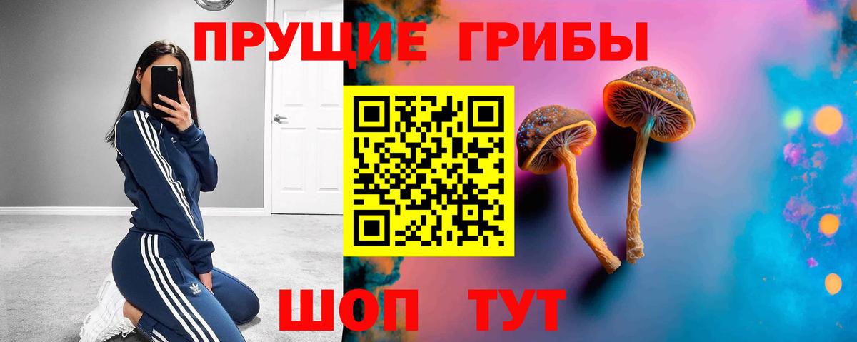 Псилоцибиновые грибы ЛСД Россошь
