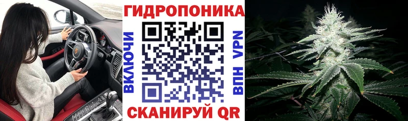 Бошки Шишки сатива  как найти   Россошь 